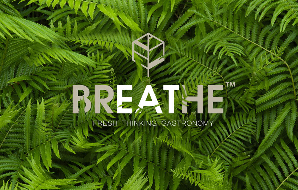 Breathe_logo-Redline Company