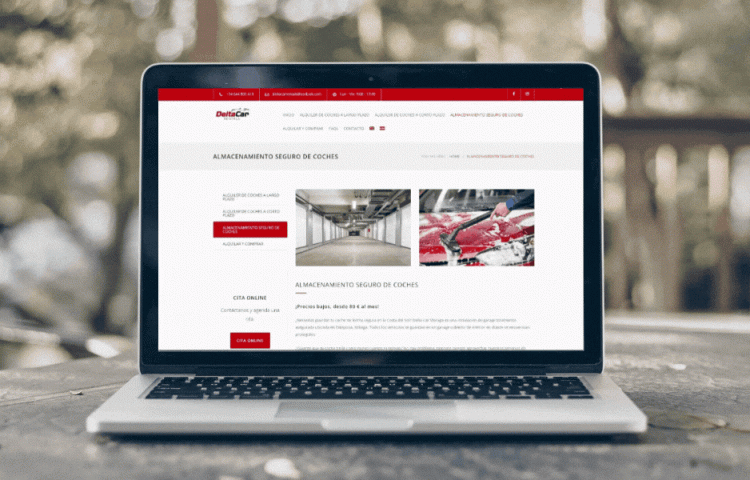 Delta Car Rentals laptop website overview