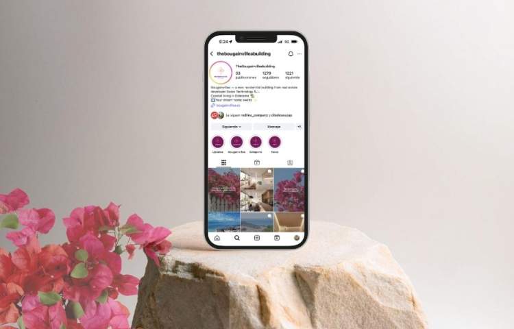Social Media Bougainvillea - Redline Company