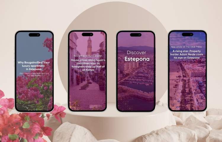 Social Media Bougainvillea - Redline Company