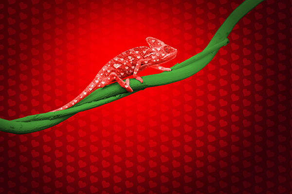 Red hearted chameleon on green branch created by Redline Company